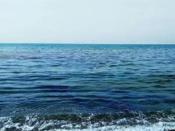 日本核廢水將排海-影響何以估量？